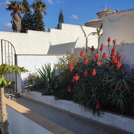 A Little Paradise With Super Views In Almuñécar 외부 사진