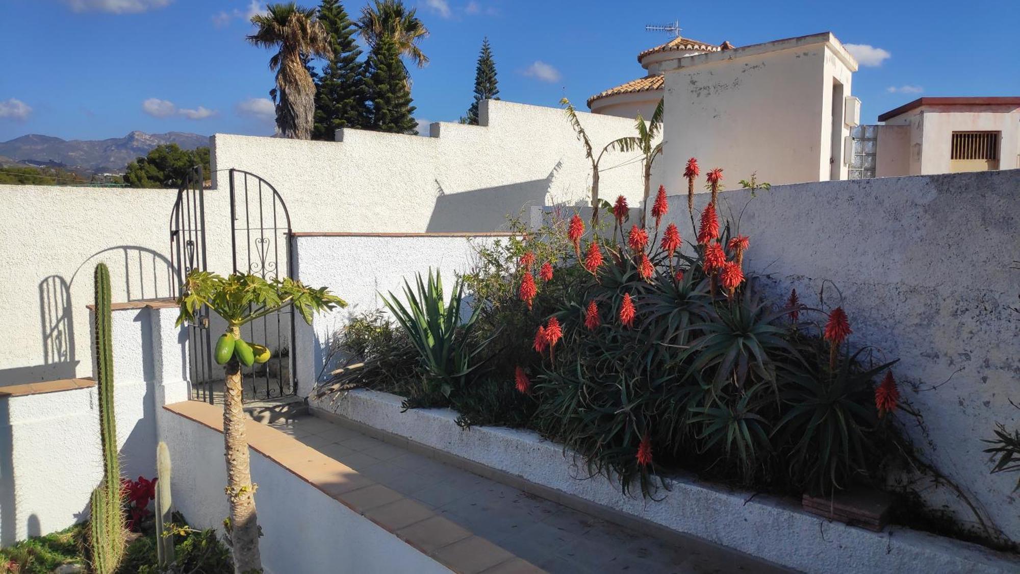 A Little Paradise With Super Views In Almuñécar 외부 사진